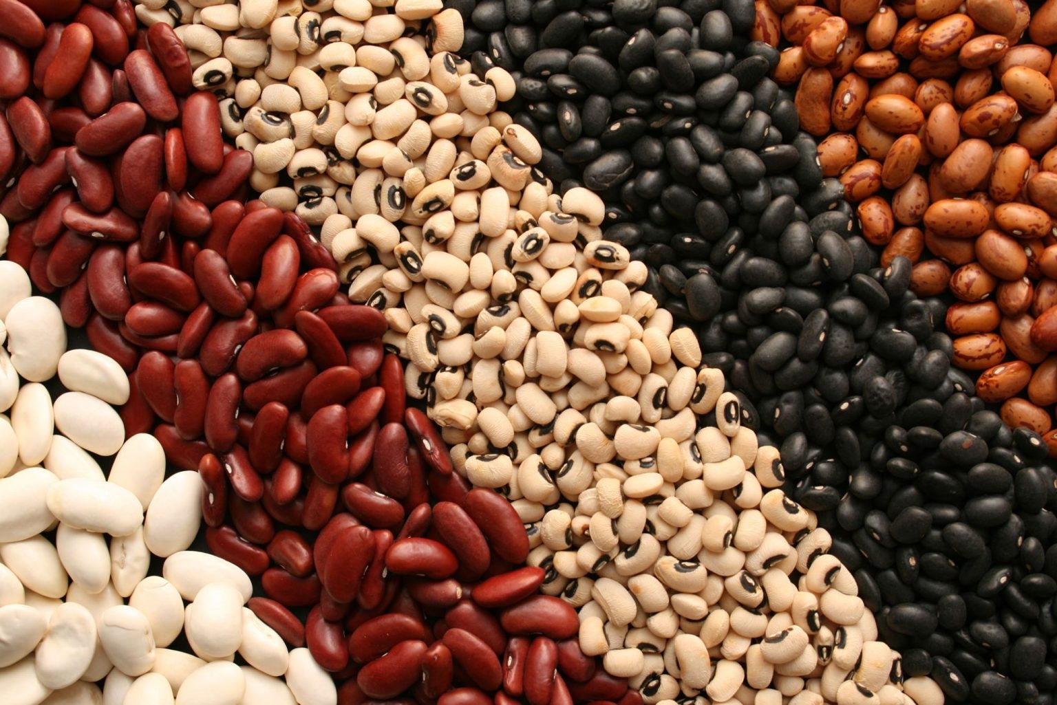 Beans Iron Content - How Much Iron Does A Bean Have? - From A to Vegan